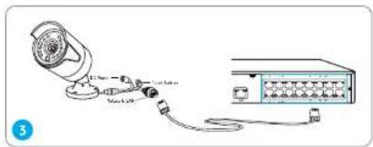 REOLINK RLN8410 - Diagramme de connexion - 2