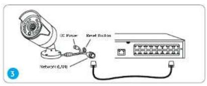 REOLINK RLN8410 - Diagrama de Conexión - 2