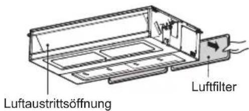LG UM24FH - Luftfilter - 2