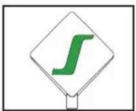 SAUTER SPI164HSX - La sonde et son support - 1