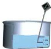 SAUTER SPI164HSX - - Les fonctions culinaires - 1