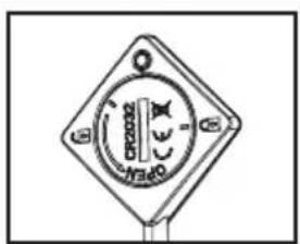 SAUTER SPI164HSX - La sonde et son support - 2