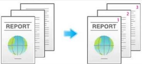 graph LR A["REPORT"] --> B["→"] B --> C["REPORT"] style A fill:#f9f,stroke:#333 style C fill:#bbf,stroke:#333