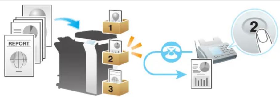 graph TD A["REPORT"] --> B["Printer"] B --> C["Email"] B --> D["Calendar Icon"] C --> E["Phone Icon"] D --> F["Record Icon"]