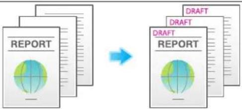 graph LR A["REPORT"] --> B["DRAFT"] B --> C["DRAFT REPORT"] style A fill:#f9f,stroke:#333 style B fill:#bbf,stroke:#333 style C fill:#dfd,stroke:#333