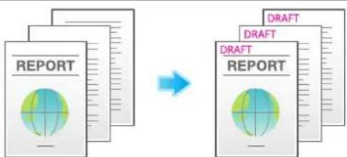 graph LR A["REPORT"] --> B["DRAFT"] B --> C["DRAFT"] style A fill:#f9f,stroke:#333 style B fill:#bbf,stroke:#333 style C fill:#dfd,stroke:#333
