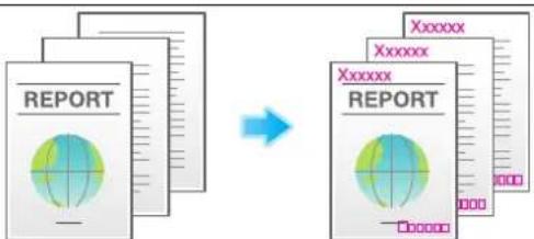 graph LR A["REPORT"] --> B["Xxxxxxx"] B --> C["REPORT"] style A fill:#f9f,stroke:#333 style B fill:#ccf,stroke:#333 style C fill:#cfc,stroke:#333