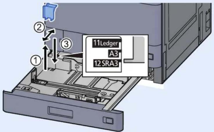 11Ledger A3 12 SRA3