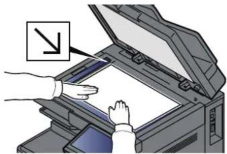 OLIVETTI dColor MF2555 - Exécution de la numérisation WSD - 2