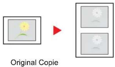 OLIVETTI dCopia 5001MF - Copie double - 1