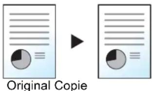 OLIVETTI dCopia 5001MF - Numérisation complète - 1