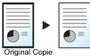 OLIVETTI dCopia 5001MF - Standard - 1