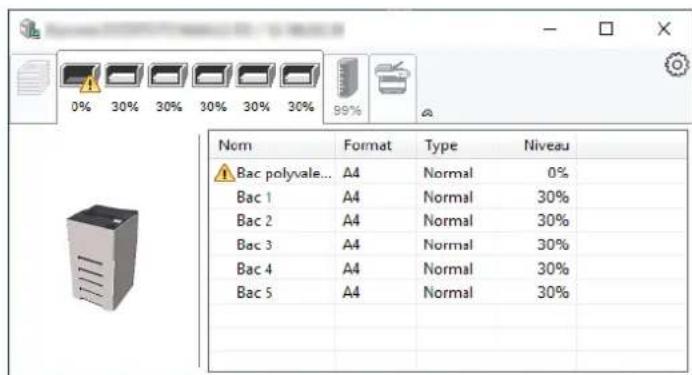 OLIVETTI PG L2645 - Onglet état bac à papier - 1