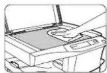 OLIVETTI Copia 9915C - VEDLIGEHOLDELSE MANUTENÇÃO POR PARTE DO USUÁRIO - 2