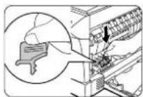 OLIVETTI Copia 9915C - Cargador de transferencia - 2