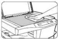 OLIVETTI Copia 9915C - Durée de service de la cartouche de tambour - 1