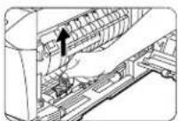 OLIVETTI Copia 9915C - Chargeur de transfert - 1