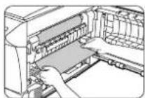 OLIVETTI Copia 9915C - B Misfeed in the fusing area - 2