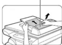 OLIVETTI Copia 9915C - D Défaut d'alimentation dans la zone inférieure d'alimentation papier - 1