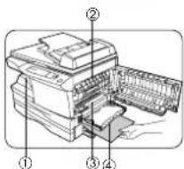 OLIVETTI Copia 9915C - Coroa de transferência - 9