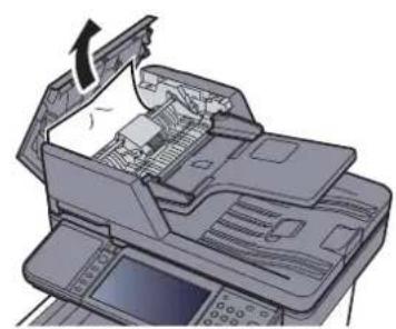 OLIVETTI dColor MF3023 - Chargeur de documents - 4