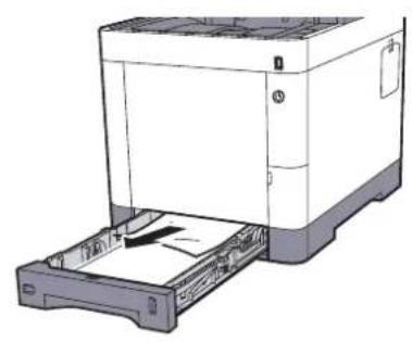 OLIVETTI dColor MF3023 - Magasins 1 à 4 - 2