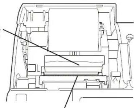 OLIVETTI Nettun@ 7000open - Note - 3