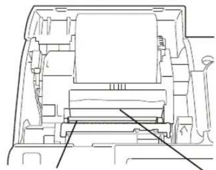 OLIVETTI Nettun@ 7000open - Note - 1