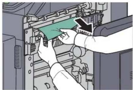 OLIVETTI dCopia 4500MF plus - Unité de fixation - 6