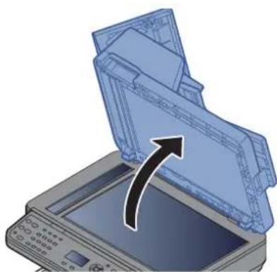OLIVETTI dCopia 4514MF - Unité recto verso - 20