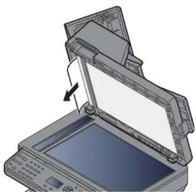 OLIVETTI dCopia 4514MF - Unité recto verso - 22