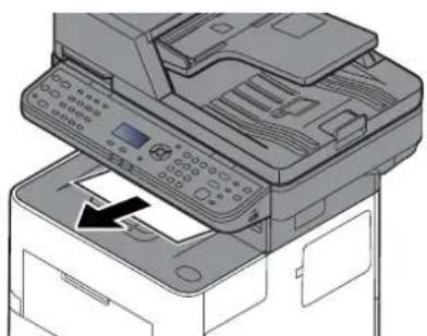 OLIVETTI dCopia 4514MF - Plateau interne/capot arrière interne - 1