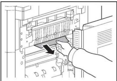 OLIVETTI dCopia 6500MF plus - Unité recto-verso - 3