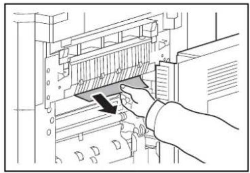 OLIVETTI dCopia 6500MF plus - Unité de fixation - 2