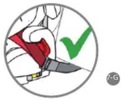 Foppapedretti Best duoFIX - SECURING YOUR CHILD - 7