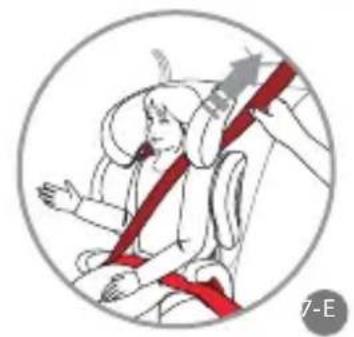 Foppapedretti Best duoFIX - SECURING YOUR CHILD - 5