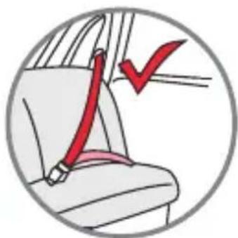Foppapedretti Best duoFIX - VAŽNO: - 1