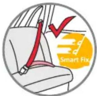 Foppapedretti Best duoFIX - ZHMANTIKO: - 2