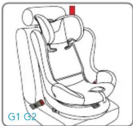 Foppapedretti FP360 - Replacement of the 5-point belt for use in the 40-105 cm range - 1