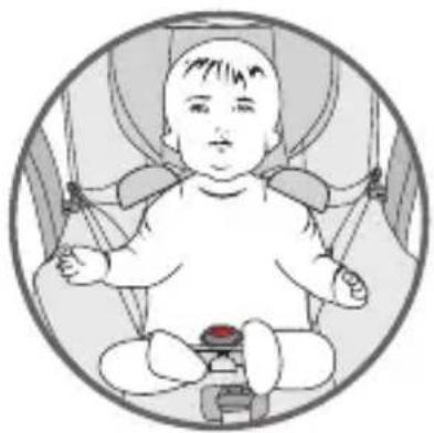 Foppapedretti Action - Securing the child with the harness - 3