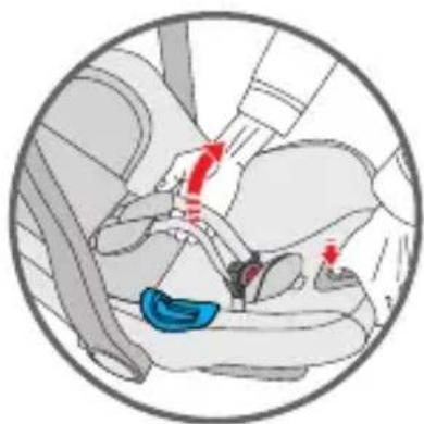 Foppapedretti Action - Assicurare il bambino con l'imbracatura - 1