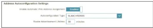 D-LINK DIR878 - Paramètres avancés - paramètres de configuration automatique de l'adresse - 1