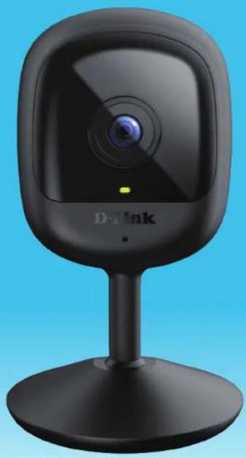 D-LINK DCS6100LH - 1