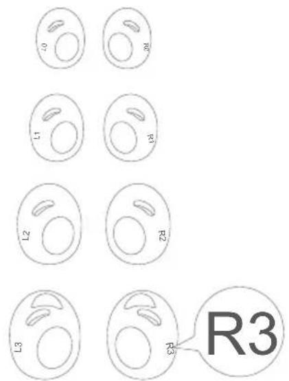 soundcore Liberty 3 Pro - Trocar os aros - 1