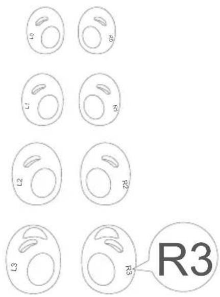 soundcore Liberty 3 Pro - Endre Ørevingene - 1