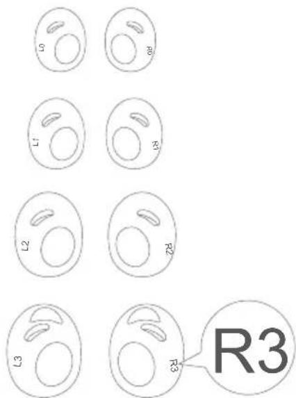 soundcore Liberty 3 Pro - Changing the Ear Wings - 1