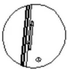 CASO WineComfort 38 - The handle installing - 3