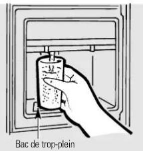 HOTPOINT CSX22GRBAA - Le distributeur d'eau et de glaçons. - 1
