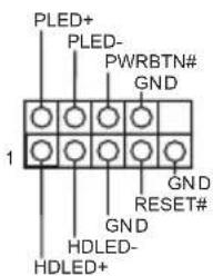 PLED+ PLED- PWRBTN# GND 1 GND RESET# GND HDLED- HDLED+