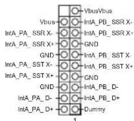 VbusVbus Vbus IntA_PB_SSR X- IntA_PB_SSR X+ GND IntA_PB_SST X- IntA_PB_SST X+ GND IntA_PB_D- IntA_PB_D+ Dummy 1